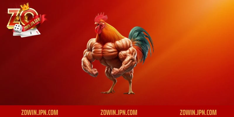 &nbsp;Tìm hiểu ưu điểm của việc mua bán gà đá tại chợ tốt gà đá hậu giang