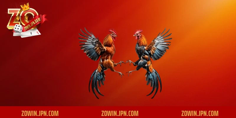 &nbsp;Nắm bắt tầm quan trọng của chợ tốt gà đá sóc trăng ZOWIN