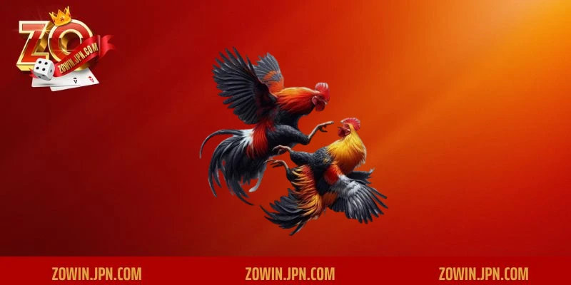 Hướng dẫn cách tham gia